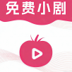 每日新影视永久vip版 每日新影视永久vip版